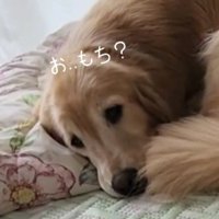 「今日はお餅？」