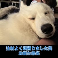 よく頑張りました！