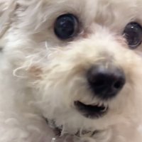 ジトッ