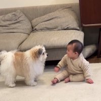 見つめ合うふたり