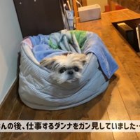てんぽさんの熱烈歓迎9