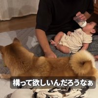 静かに見守ります