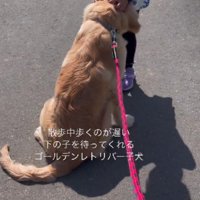 「待っててくれてありがとう」