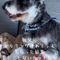ん？頭の形がおかしい…
