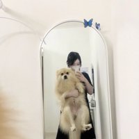 特大ポメラニアンへ成長