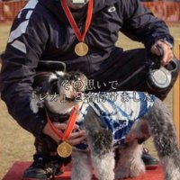 メダルを首から下げる犬と飼い主