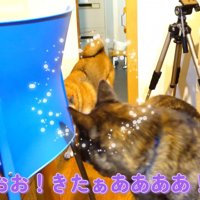 マメちゃんを連れてきてくれました♪