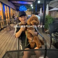 抱っこされる犬