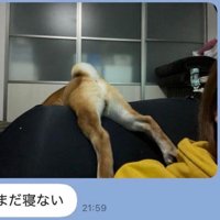 ソファで足を広げるふうたくん