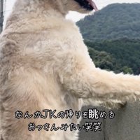 安全、守ってます！