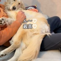 甘えたいときもあるよね♡