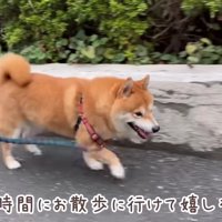 「やっぱりお散歩じゃん～♪」