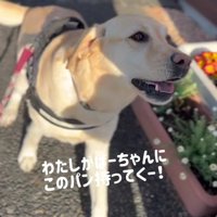「わたしが持っていく！」