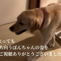 ぼんちゃんも嬉しそう♡