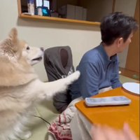 「これでいい？」