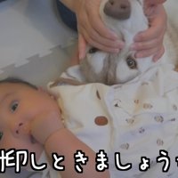 まだまだ勉強中だよ