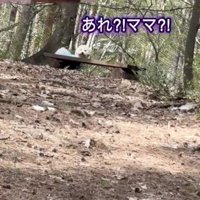 一瞬フリーズ！