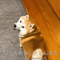 「…？」
