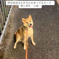 期待しているもっぴちゃん