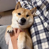 甘えん坊