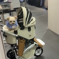 尻尾フリフリが止まらない♡