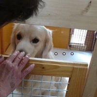 そしてやっぱり無視…