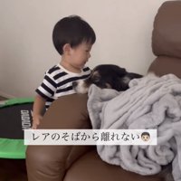 犬のそばで顔を近づける子ども