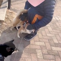 全力愛情表現！