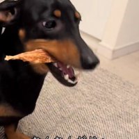 おやつを食べるオーレくん