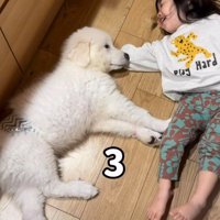 同じくらいの大きさ