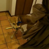 おもちゃを強奪！
