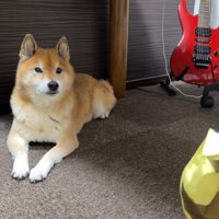 ロックくんにカッパを見せたら…