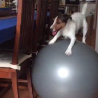 上手にバランスを保ちながら…