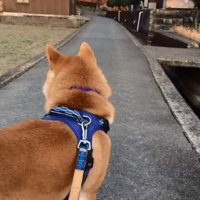 気づかなかったあお君