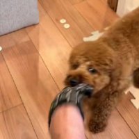 可愛い日課にホッコリ♡