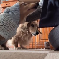 行く気満々で順番待ち