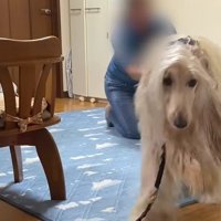 すぐに背中を押したら…