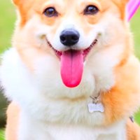 こんなに大きくなりました！