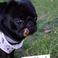 口についていたのは…