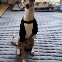 紳士的な片手バージョン♪