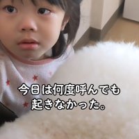 「ぷぷちゃんが死んでしまった」