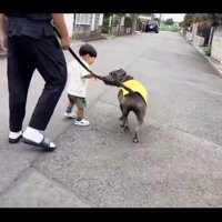 じゃれあうふたり