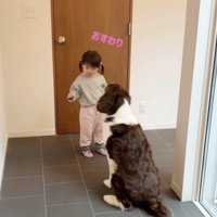 完璧におすわり