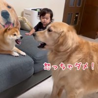 「だって寝てたから！」