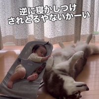 どっちが赤ちゃん！？