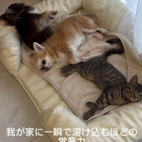 コミュニケーション能力抜群！！