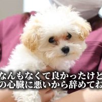 注射後のぱうちゃん⑩