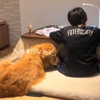隣に座る犬2