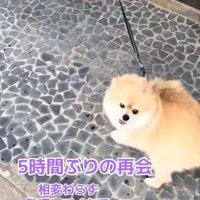 何度も回って大歓迎！