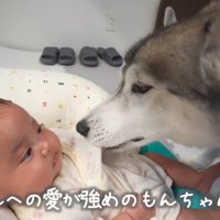 優しさ溢れる触れ合いにホッコリ